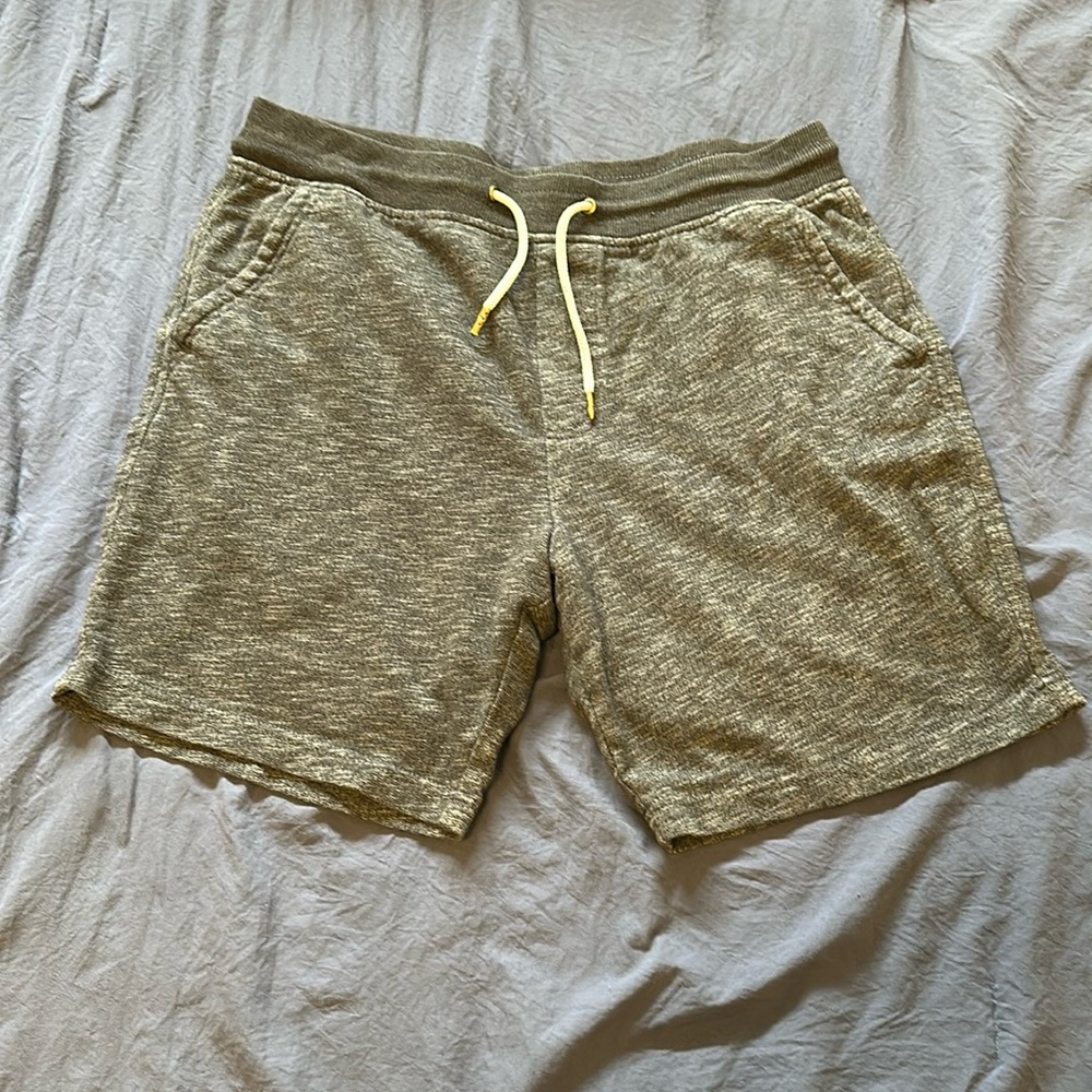 Gray Shorts | Large
